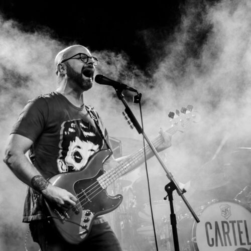 Cartel - Califoria Is For Lovers - Caitlin Schmidt - 08.31 (6)