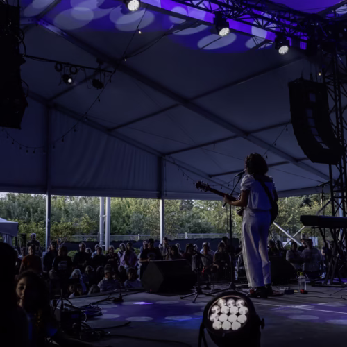 City Folk Day 1 - Mia Kelly - Misty Meadows Photography (12)