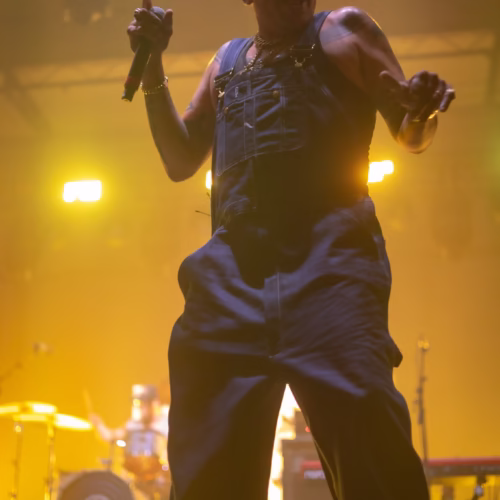 DownWithWebster-BootsandHearts25-Steph.SnapePhotos-5