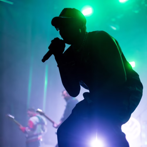 DownWithWebster-BootsandHearts25-Steph.SnapePhotos-7