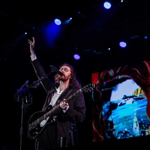 Hozier - Misty Meadows Photography (10)