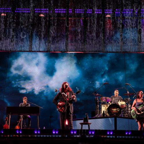 Hozier - Misty Meadows Photography (25)