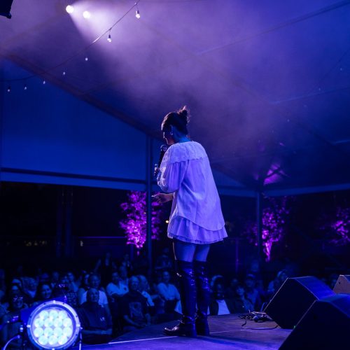 Katie Tupper - City Folk Fest - Misty Meadows Photography (14)