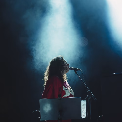 PatrickWatson-Bluesfest-@thelauracollins_2 copy