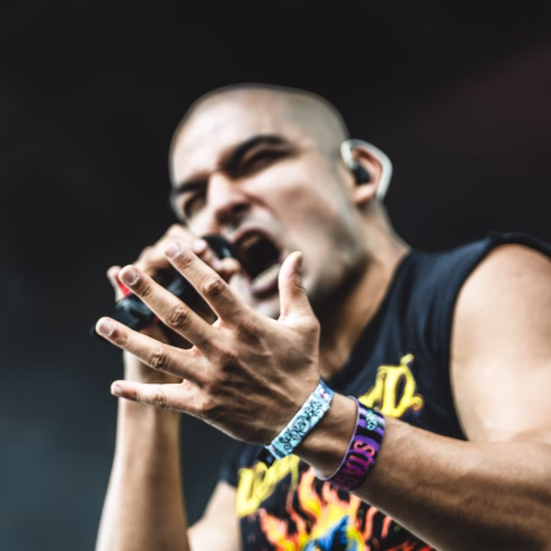 SNW-Bloodywood-Marquise-5