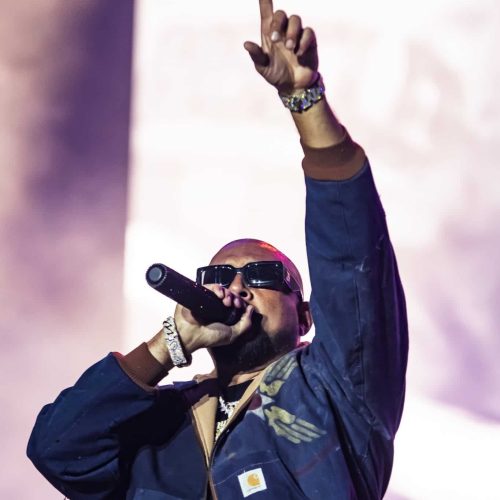 Sean Paul - Bluesfest Day 6