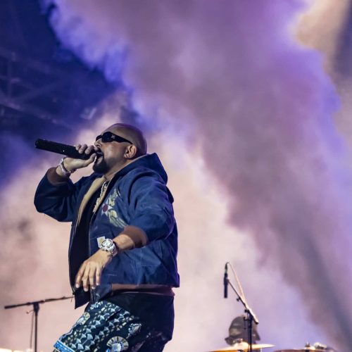 Sean Paul - Bluesfest Day 6