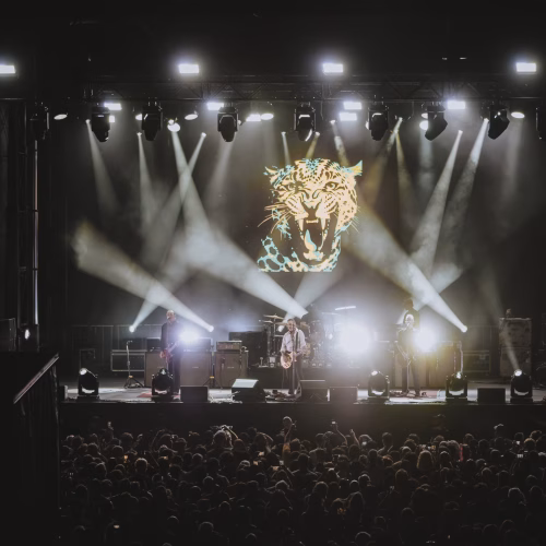 SocialDistortion-Bluesfest2026-@thelauracollins_020 copy