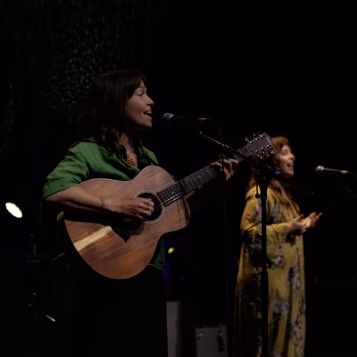 The Pairs - Bluesfest 2026 - Misty Meadows Photography (2)