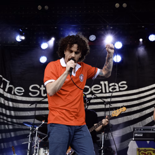 The Strumbellas - DevFest 2 - Misty Meadows Photography (14)