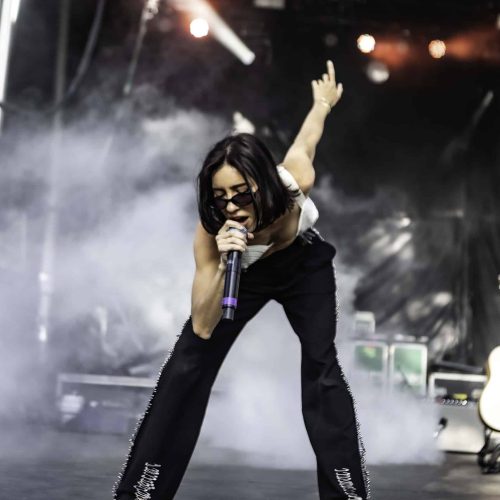The Veronicas (6)