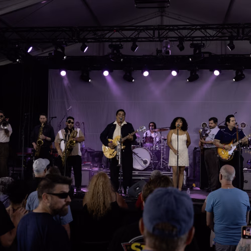 Thee Sinseers - Bluesfest 2026 - Misty Meadows Photography (1)