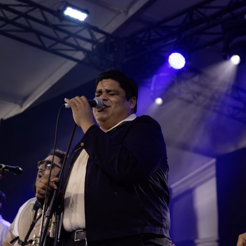 Thee Sinseers - Bluesfest 2026 - Misty Meadows Photography (4)